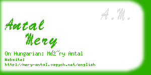 antal mery business card
